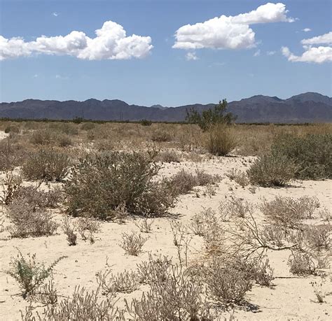 Desert Quartzite: Unraveling Nature's Geological Mysteries