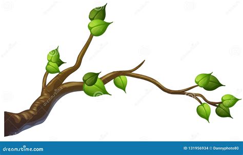 Tree Branch on White Background Stock Vector - Illustration of leaf ...