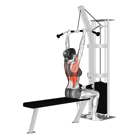 7 Best Lat Pulldown Variations (with Pictures!) - Inspire US