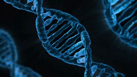 How ‘junk’ DNA plays a role in cancer | University of California