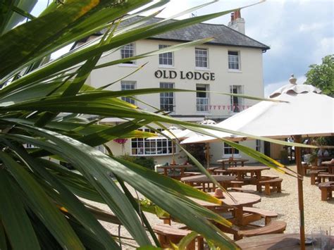 The Old Lodge Hotel (Gosport, England) - Hotel Reviews - TripAdvisor