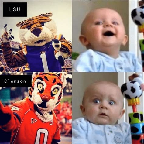 Funny Clemson Mascot Memes | Big 102.1 KYBG-FM