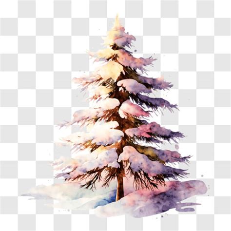 Download Snow-Covered Pine Tree Watercolor Painting for Holiday ...