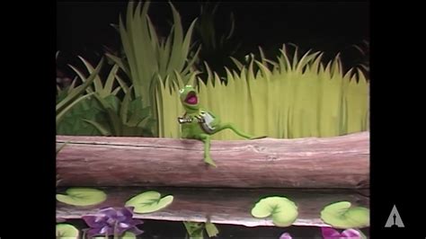 The Academy - Kermit the Frog performs "The Rainbow Connection" | 52nd Oscars (1980)