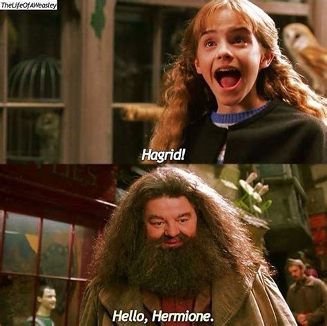 Hagrid and Hermione in Diagon Alley in the Chamber of Secrets | Harry james potter, Fred and ...