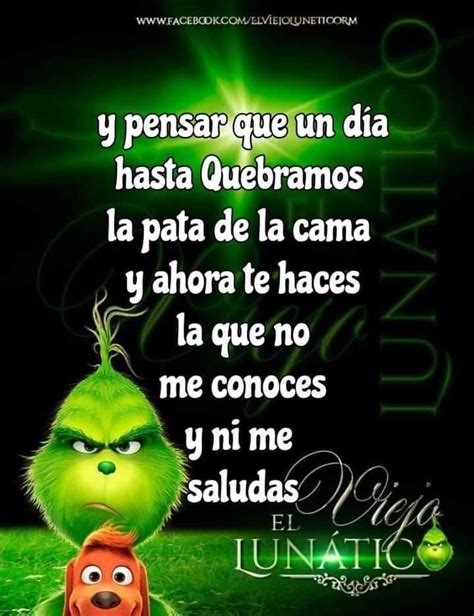 Grinch | Frases bonitas, Frases del grinch, Frases cómicas