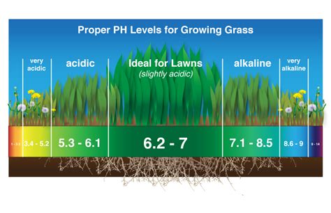 Lime Lawn Treatment Fort Wayne IN, Lime Application New Haven, Huntertown