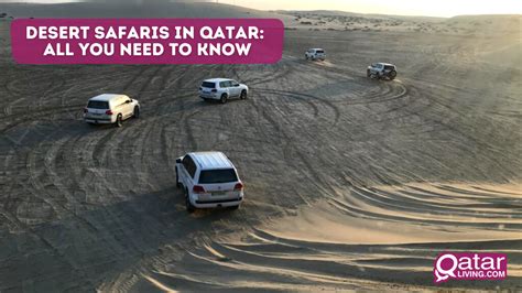 Desert safaris in Qatar: All you need to know | Qatar Living