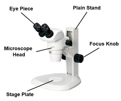 Stereo Microscope | Microscope Malaysia | SMZ745 Malaysia