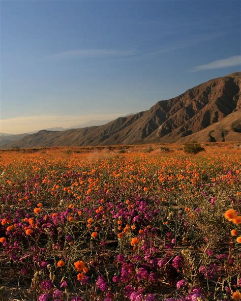 Anza-Borrego Desert State Park, San Diego - Sports-Outdoors Review - Condé Nast Traveler