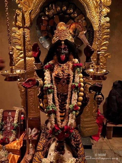 'Today it is a golden tigresse Kali sitting in Amritapuri's inner Kali ...