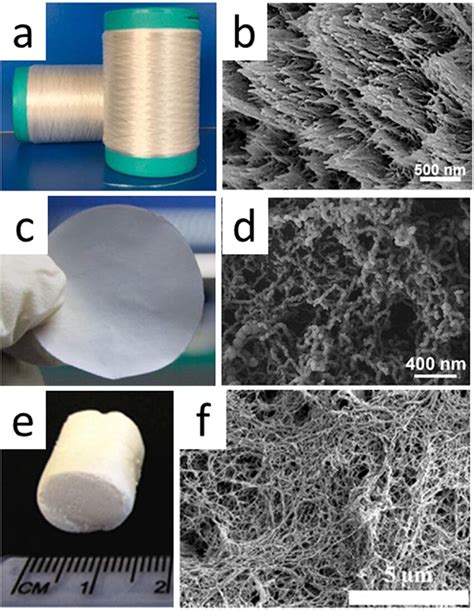 Photos and morphology of cellulose products with different... | Download Scientific Diagram