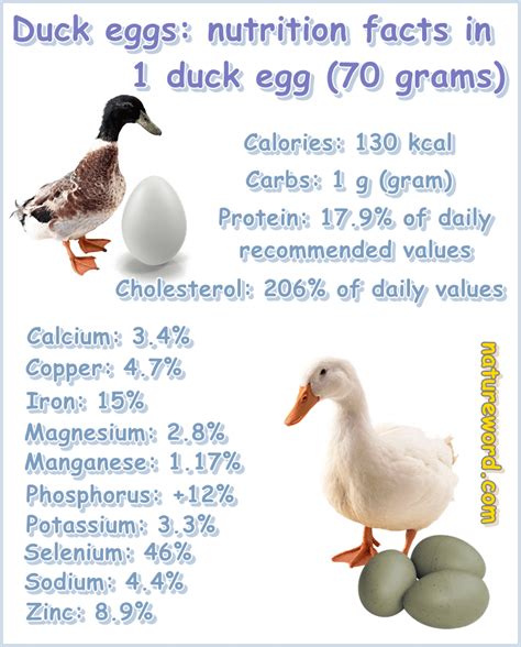 Duck Eggs: Nutrition Facts per One Duck Egg - NatureWord