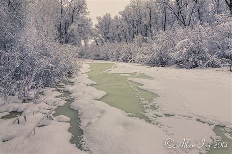 “Gunnison River Tributary covered with Snow” Gunnison, Colorado » allanivy.com