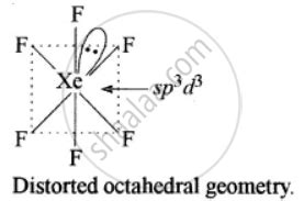 Xef6 Molecular Geometry