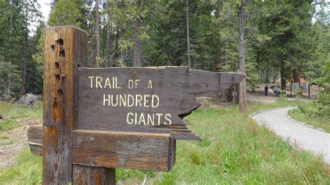 Trail of 100 Giants under repair - The Sun-Gazette Newspaper