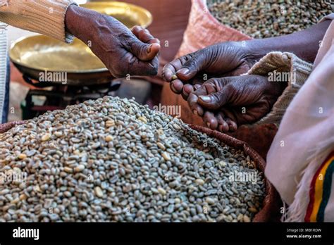 Coffee beans, Ethiopia Stock Photo - Alamy