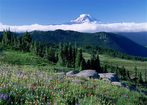 Visit Mount Rainier National Park, The US | Audley Travel US