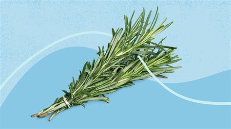 Does Rosemary Water Make Your Hair Grow Faster?