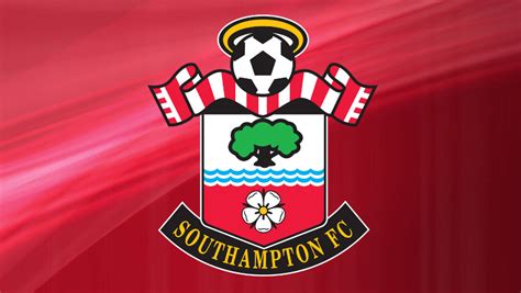 Southampton FC – 2015/16 Southampton FC Squad | Genius