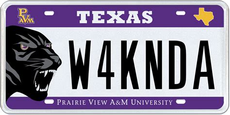 See Texas' 20 coolest custom license plates in 2018