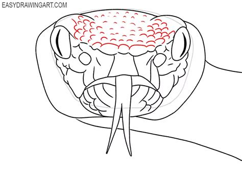 How to Draw a Snake Face - Easy Drawing Art