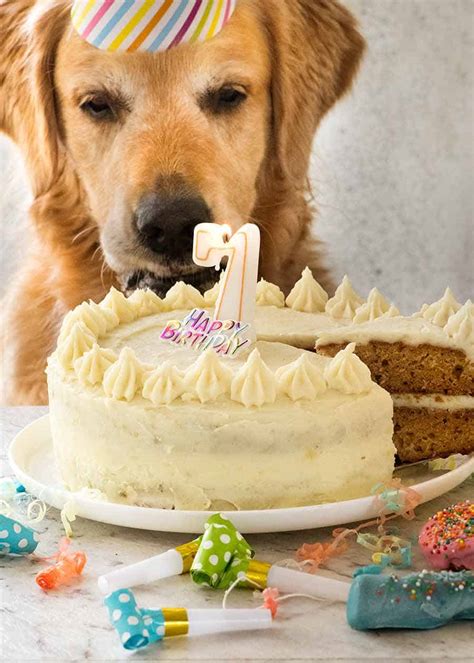 Dog Cake recipe for Dozer's birthday! | RecipeTin Eats