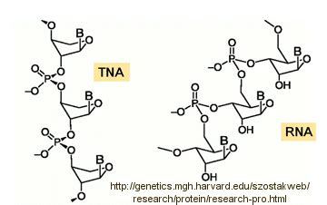 A5. Abiotic Synthesis of Genetic Polymers - Biology LibreTexts