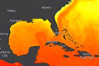 Caribbean Daily Sea Surface Temperature