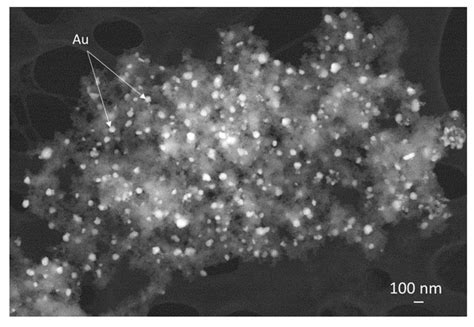 STEM analysis of magnetite nanoparticles decorated with Au ...