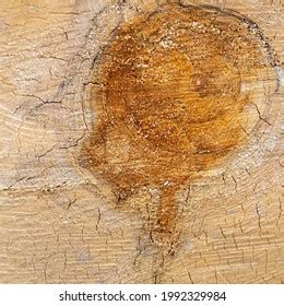 6,800 Aspen wood texture Images, Stock Photos & Vectors | Shutterstock