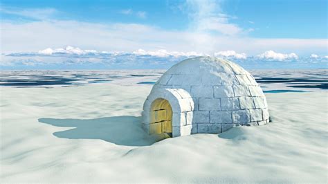 Who Lives In An Igloo House?