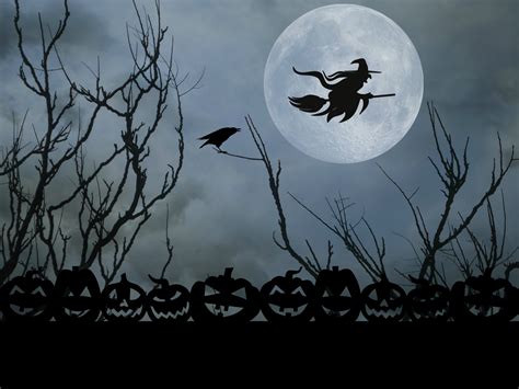 Halloween Witch Full Moon Free Stock Photo - Public Domain Pictures