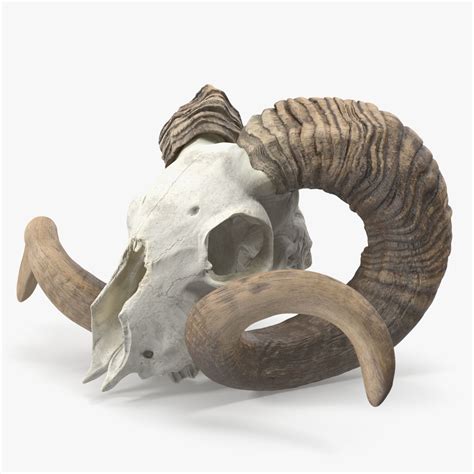 Ram Skull with Dark Horns 3D Model $59 - .3ds .blend .c4d .fbx .max .ma ...