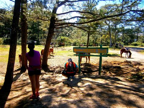 Baguio : Camp John Hay's Yellow Trail