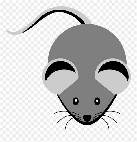 gray mouse clipart 10 free Cliparts | Download images on Clipground 2024