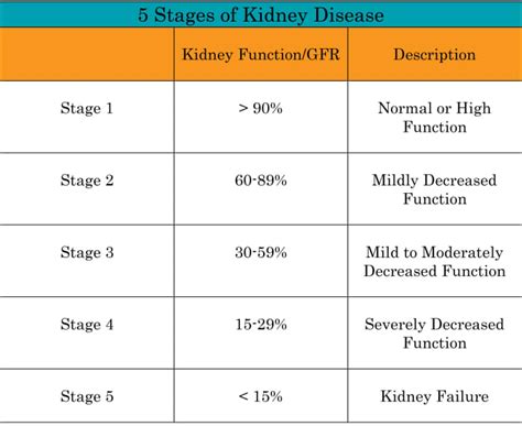 What is the Best Evidence-Based Strategy for CKD (Chronic Kidney Disease) Management? - HubPages