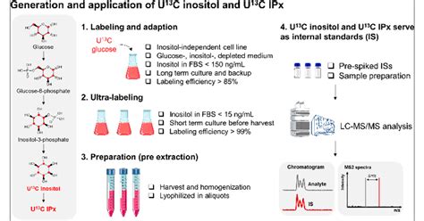 Generation Of 13C-Labeled Inositol And Inositol Phosphates, 59% OFF