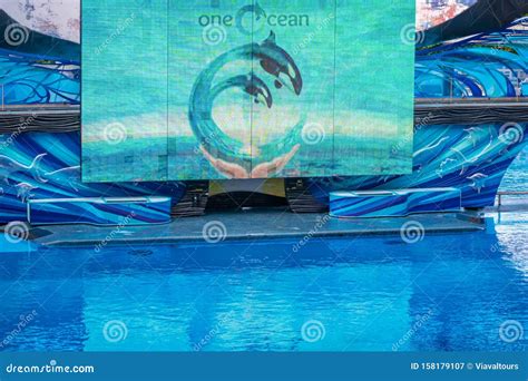 One Ocean Show Screen at Seaworld 152 Editorial Photography - Image of ...