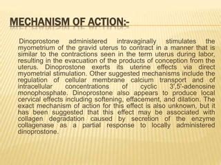 Dinoprostone Drug Presentation | PPT