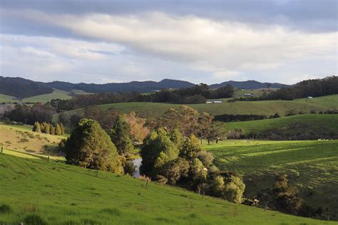 How to Paint a Landscape - Painting Trees and Rolling Hills - Samuel Earp