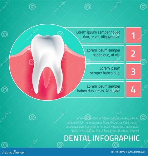 Teeth infographic a-05 stock vector. Illustration of object - 71144598