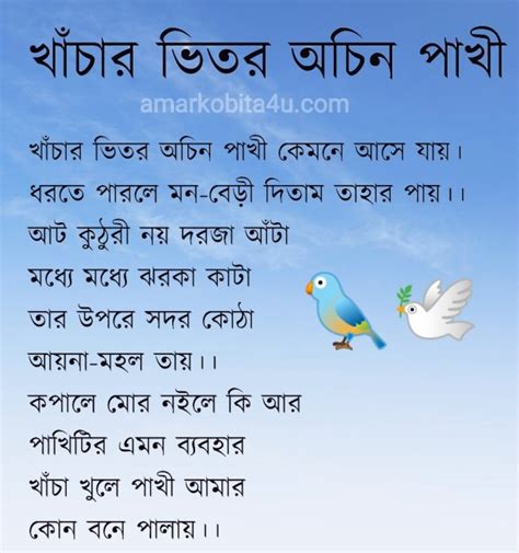 Khachar Bhitor Ochin Pakhi Lyrics (খাঁচার ভিতর অচিন পাখি) Kartik Das Baul | Lalon Song