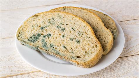 Here's Why You Should NEVER Eat The "Clean" Part Of Mouldy Bread