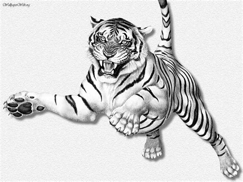 Tiger Pencil Drawing at GetDrawings | Free download
