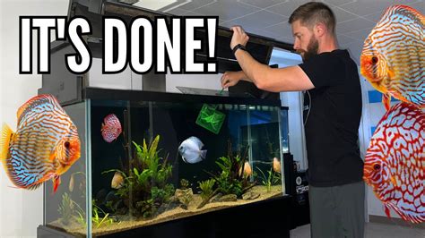 THE 90 GALLON DISCUS TANK IS COMPLETE! (Adding new fish and plants ...