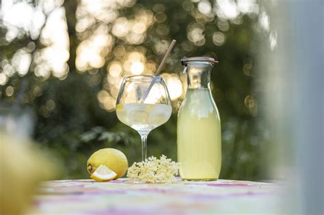 Elderflower Gin Cocktail - Nordic Forest Foods