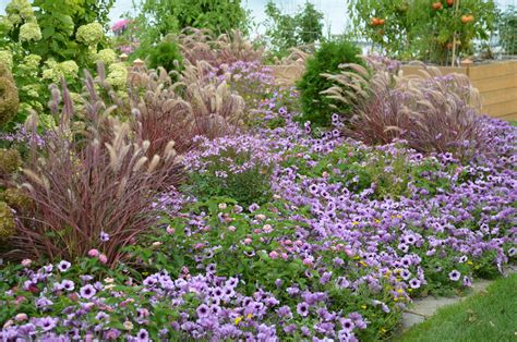 10 Companions for Ornamental Grasses in the Landscape | Proven Winners