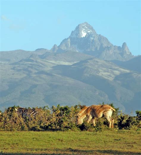 Mount Kenya National Park - Rovic Tours