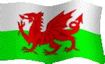 MEDIEVAL WELSH WARRIORS AND WARFARE